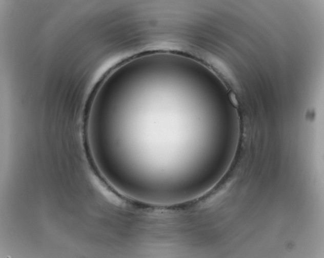 X0000092250942200709141145