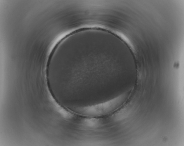X0000092250943200709141145