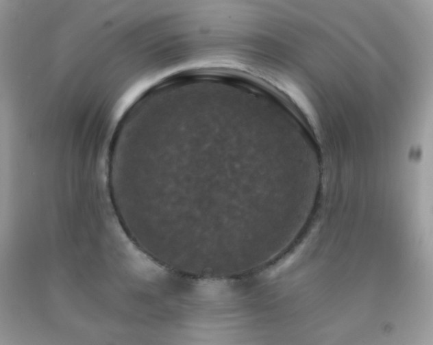 X0000092250944200709141145