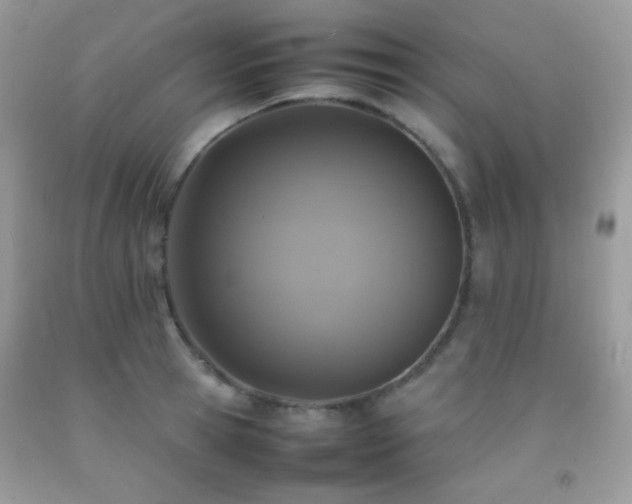 X0000092250945200709141145