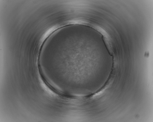 X0000092250946200709141145
