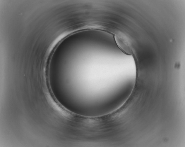 X0000092250947200709141145