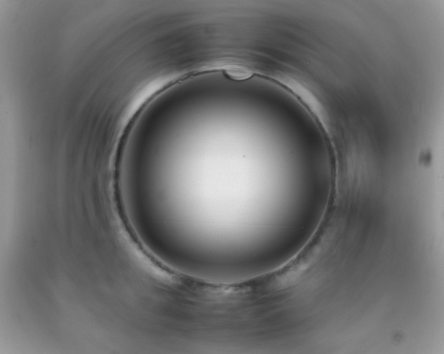 X0000092250949200709141145