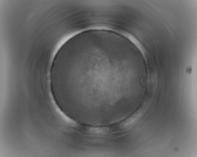 X0000092250951200709141145
