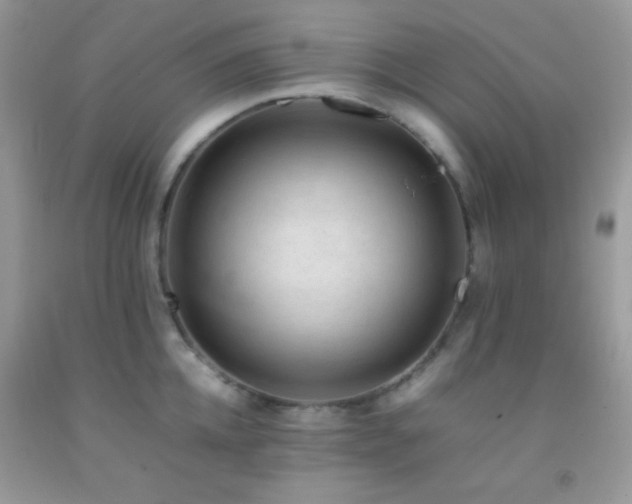 X0000092250952200709141145