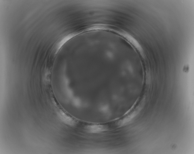 X0000092250953200709141145