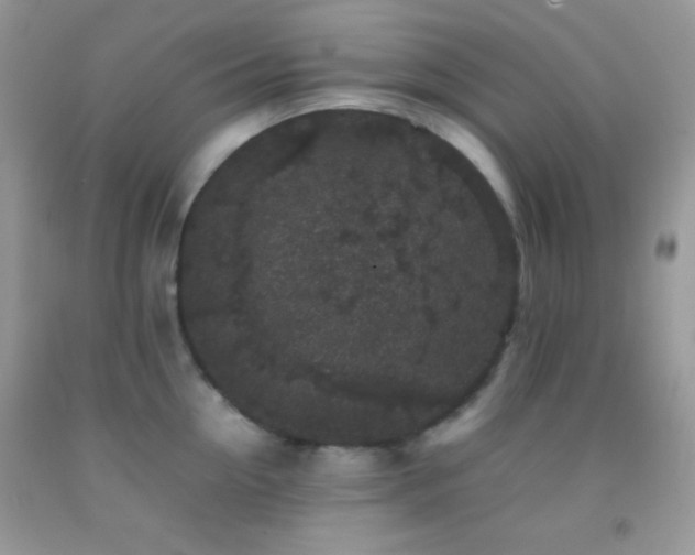 X0000092250954200709141145