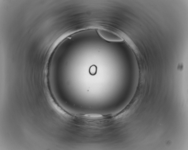 X0000092250955200709141145