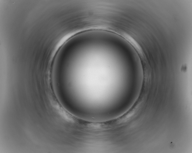 X0000092250956200709141145