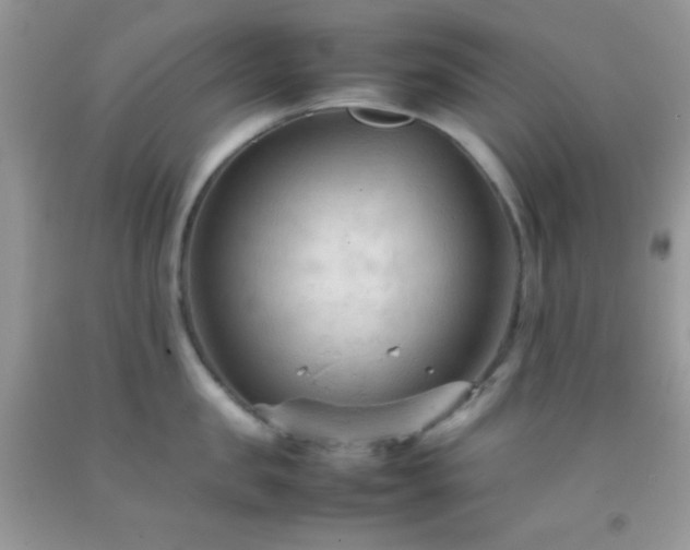 X0000092250957200709141145