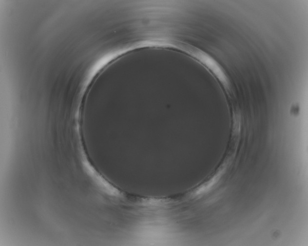 X0000092250958200709141145
