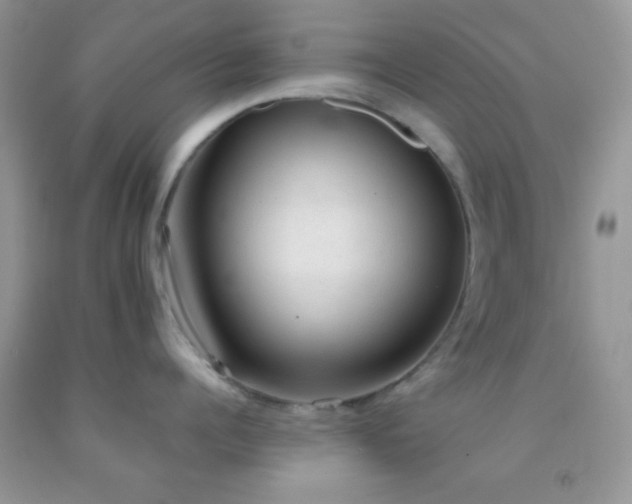 X0000092250960200709141145