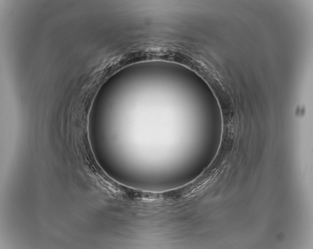 X0000092250961200709141145