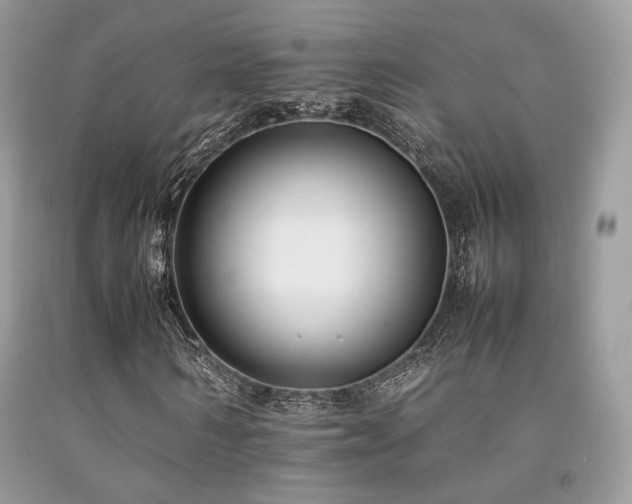 X0000092250962200709141145