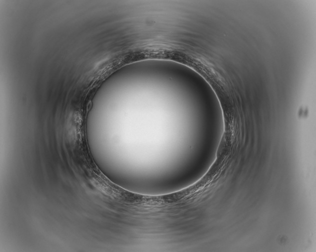 X0000092250964200709141145