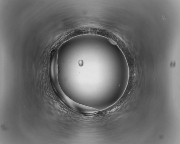 X0000092250965200709141145