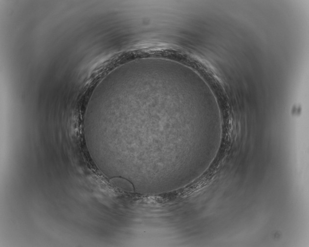 X0000092250966200709141145