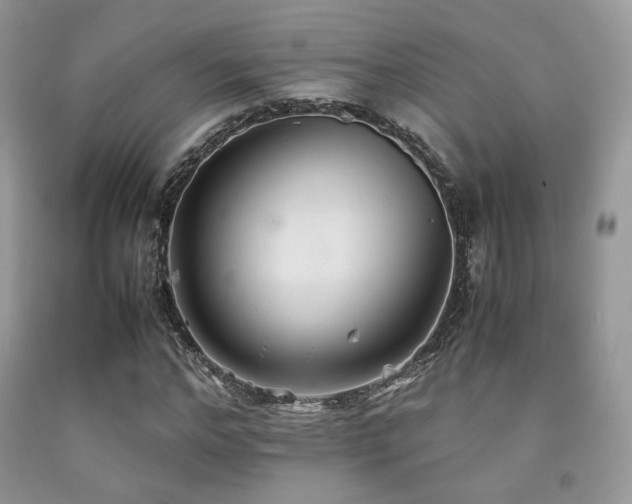 X0000092250968200709141145