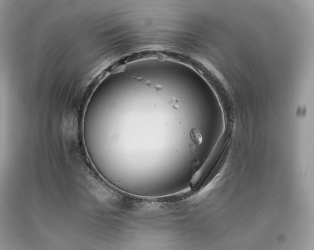 X0000092250969200709141145