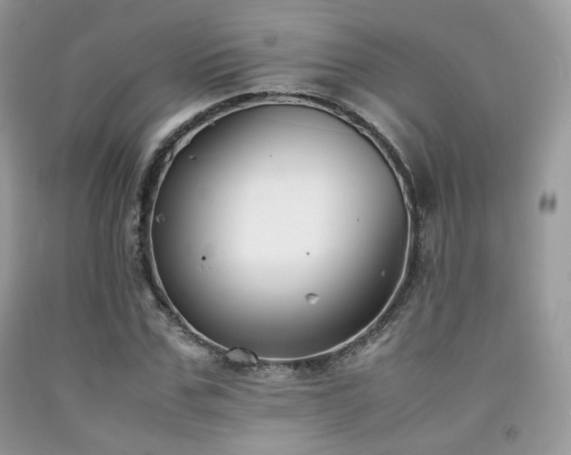 X0000092250971200709141145