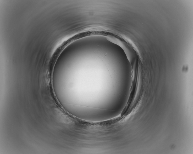 X0000092250973200709141144