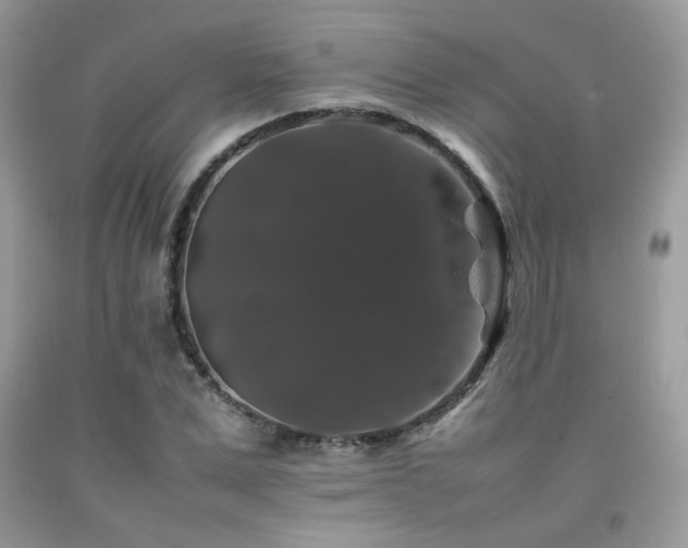 X0000092250975200709141144