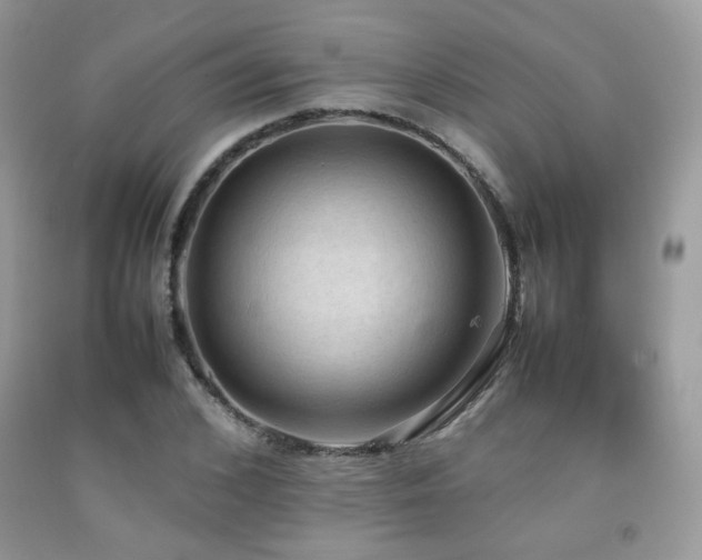 X0000092250976200709141144
