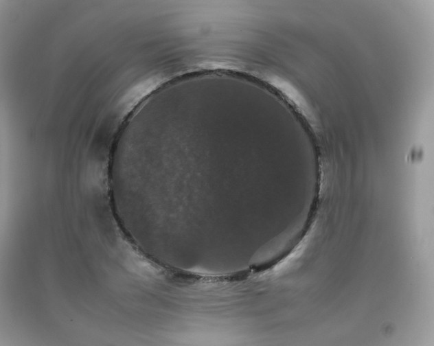 X0000092250977200709141144