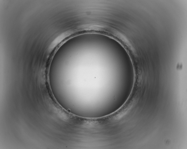 X0000092250978200709141144