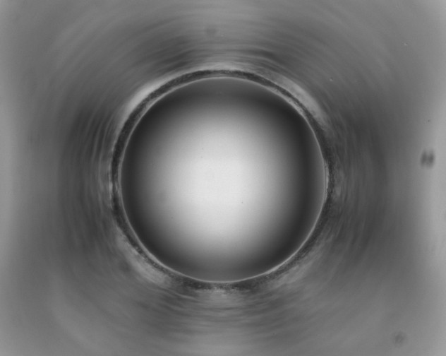 X0000092250980200709141144