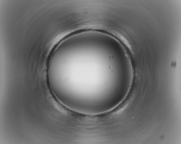 X0000092250981200709141144