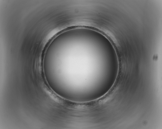 X0000092250982200709141144