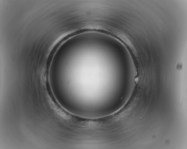 X0000092250984200709141144