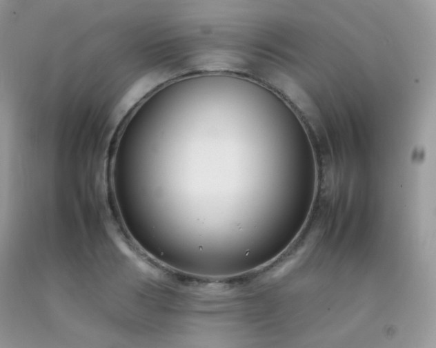 X0000092250986200709141144