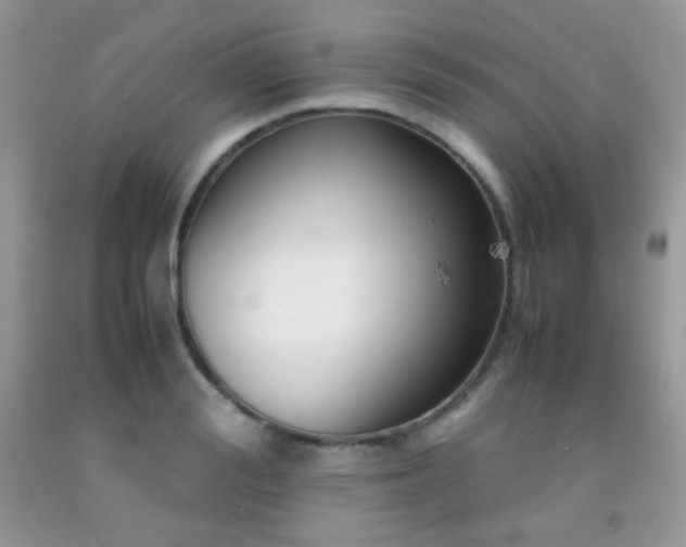X0000092250988200709141144