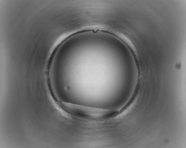 X0000092250989200709141144