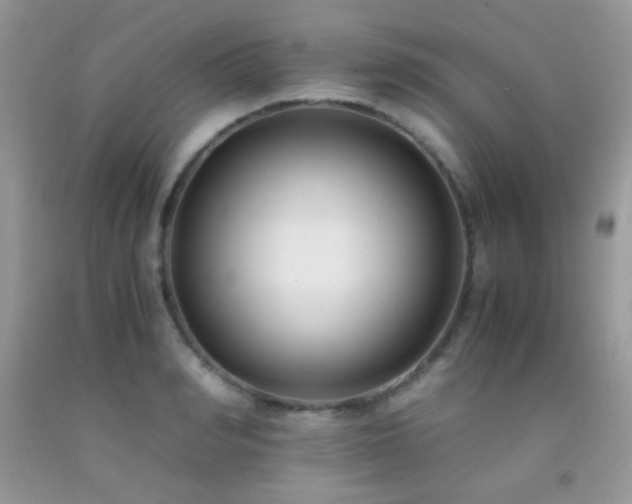 X0000092250990200709141144