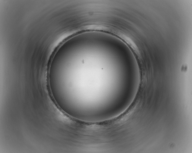 X0000092250992200709141144