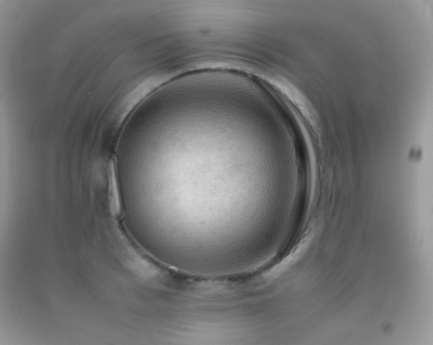 X0000092250993200709141144