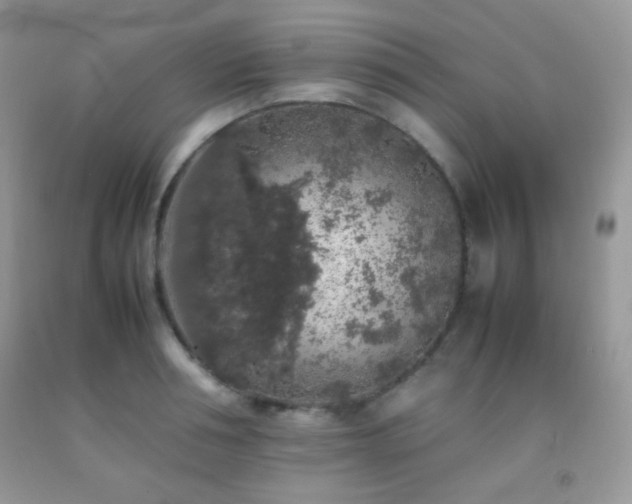 X0000092250994200709141144