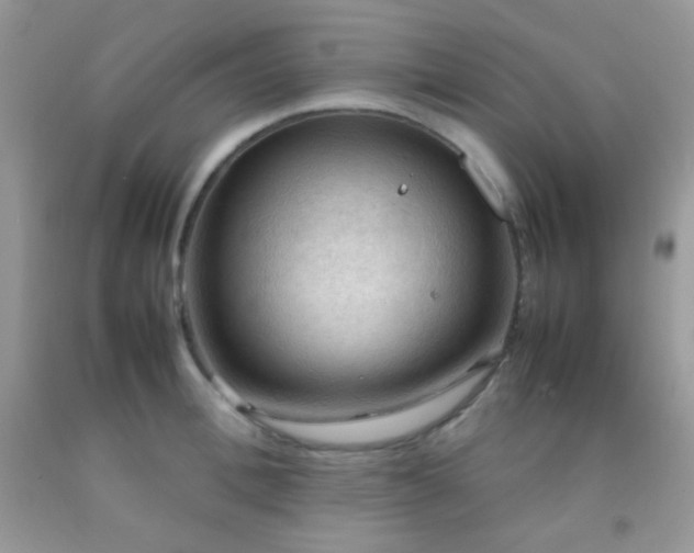 X0000092250996200709141144