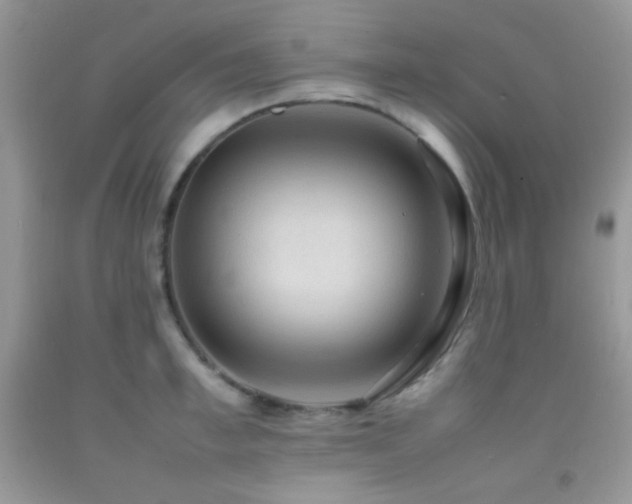 X0000092250997200709141144