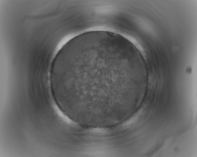 X0000092250998200709141144