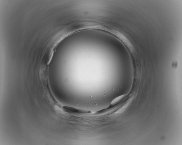 X0000092251001200709141144