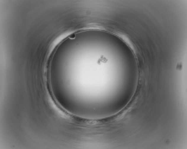 X0000092251003200709141144