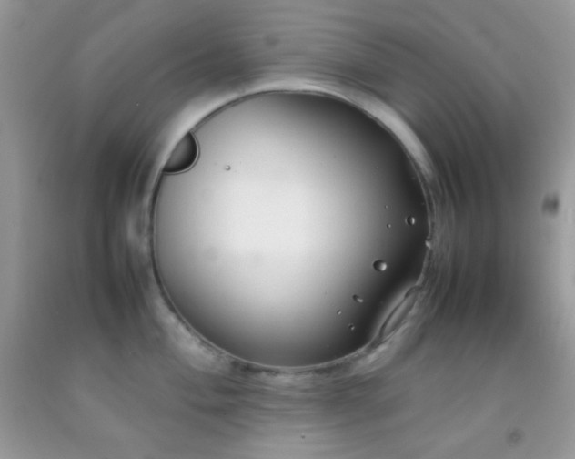 X0000092251004200709141144