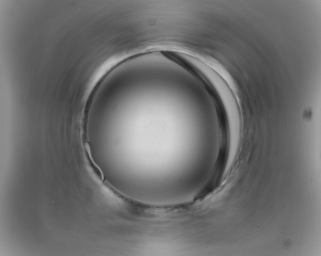 X0000092251005200709141144