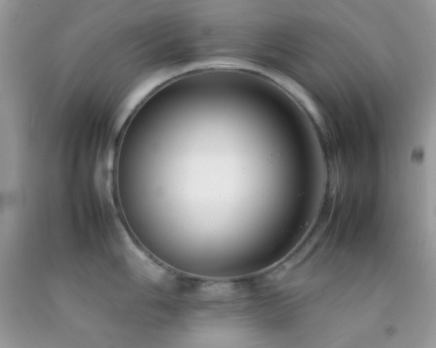 X0000092251006200709141144