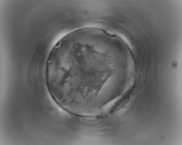 X0000092251007200709141144
