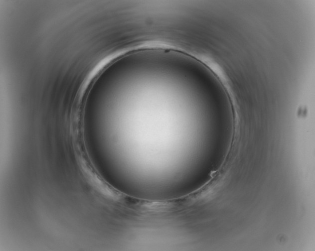 X0000092251008200709141144